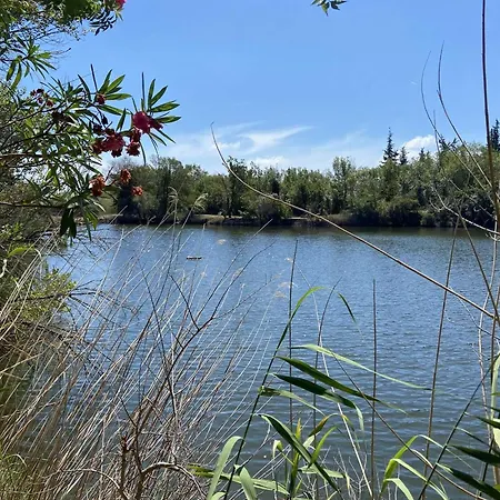 Agreable T2 Avec Piscine & Parking, Pres - Fr-1-226a-197 * Fréjus